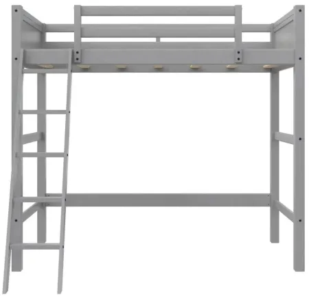 Atwater Living Rollins Kids Wooden Loft Bed with Ladder in Gray by DOREL HOME FURNISHINGS
