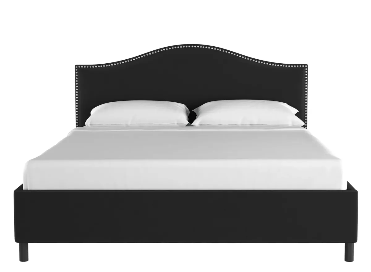 Alexander Platform Bed in Velvet Black by Skyline