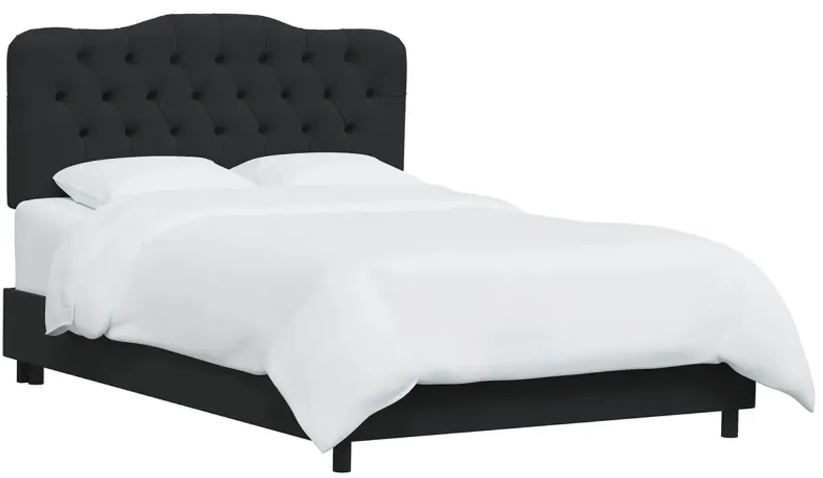 Argona Bed in Velvet Black by Skyline