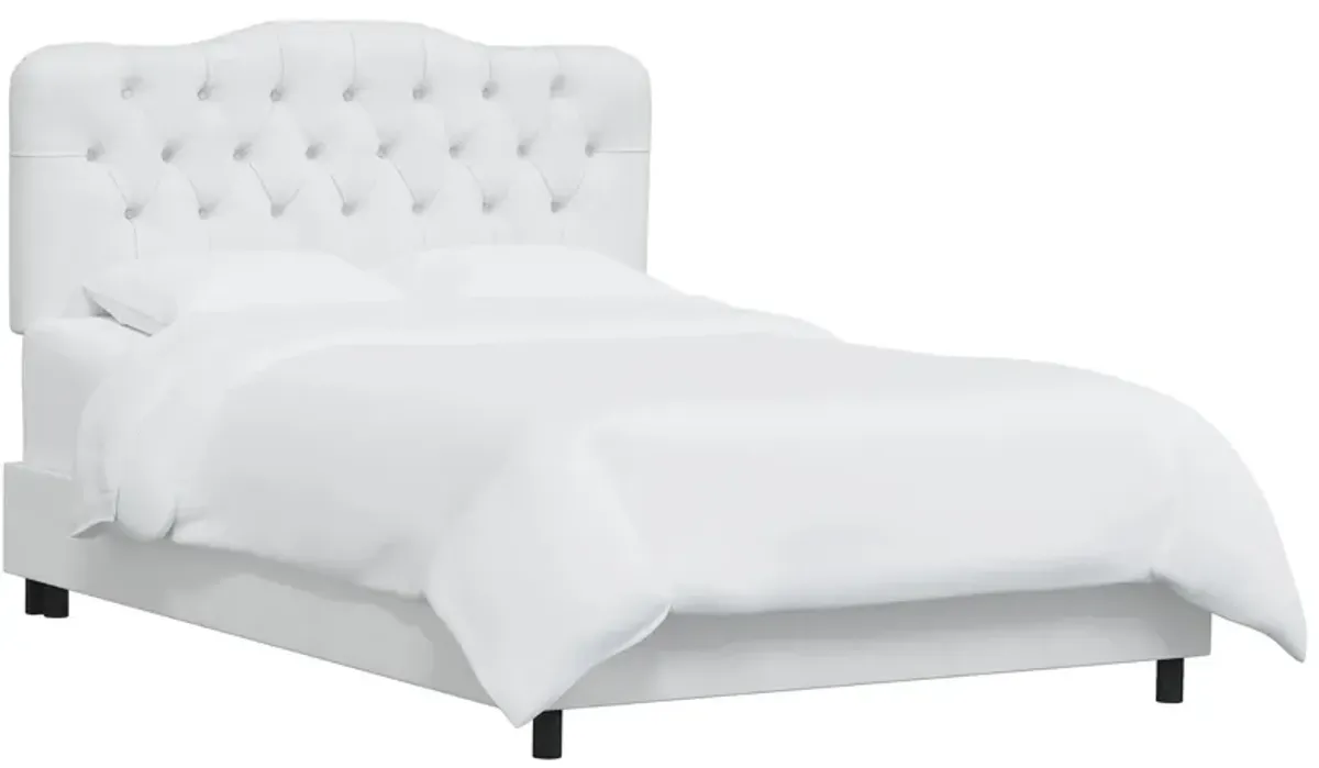 Argona Bed in Velvet White by Skyline