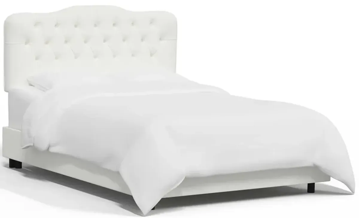 Argona Bed in Zuma White by Skyline