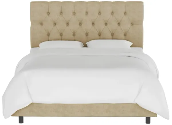 Blanchard Bed