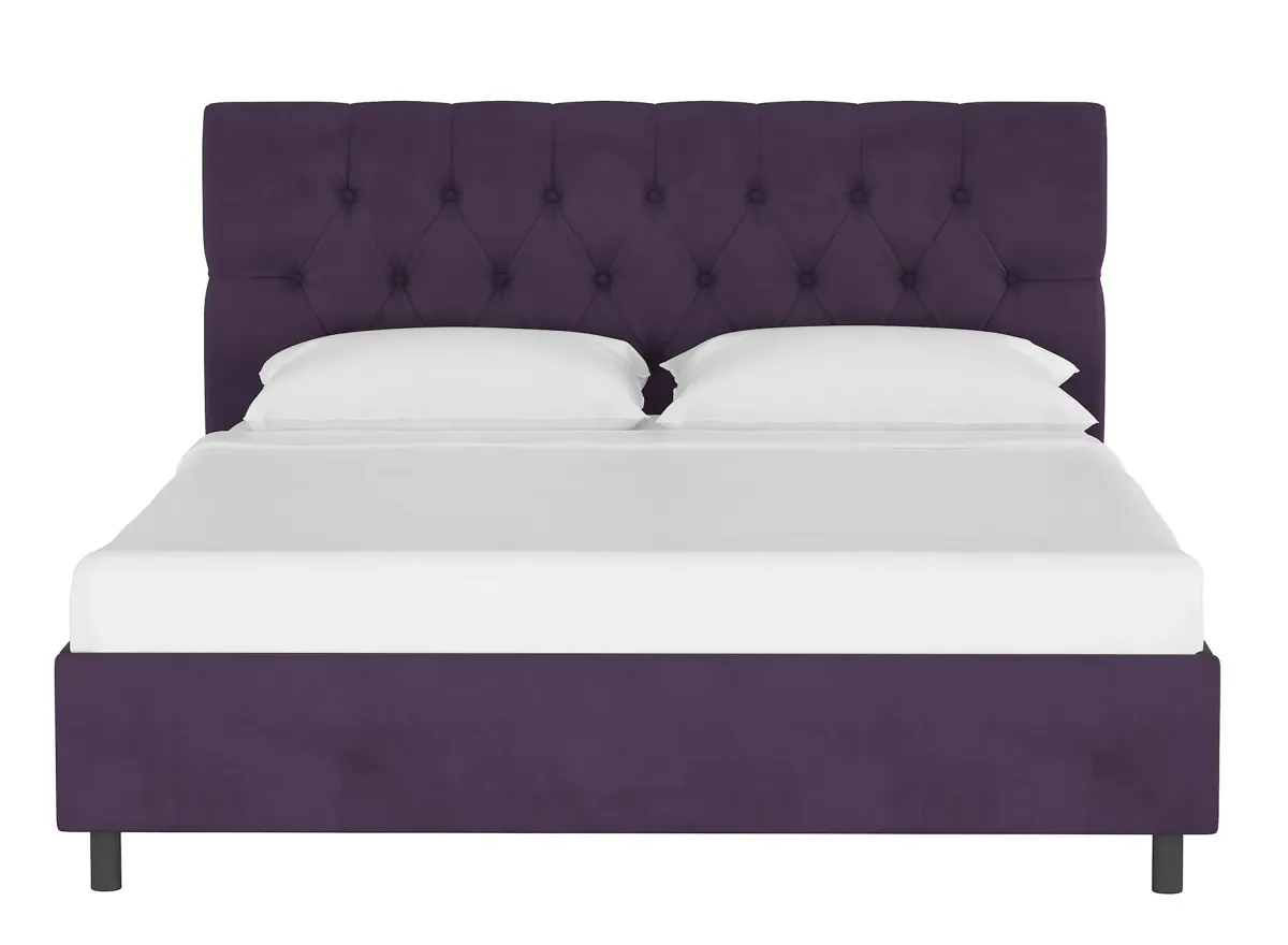 Blanchard Platform Bed in Velvet Aubergine by Skyline