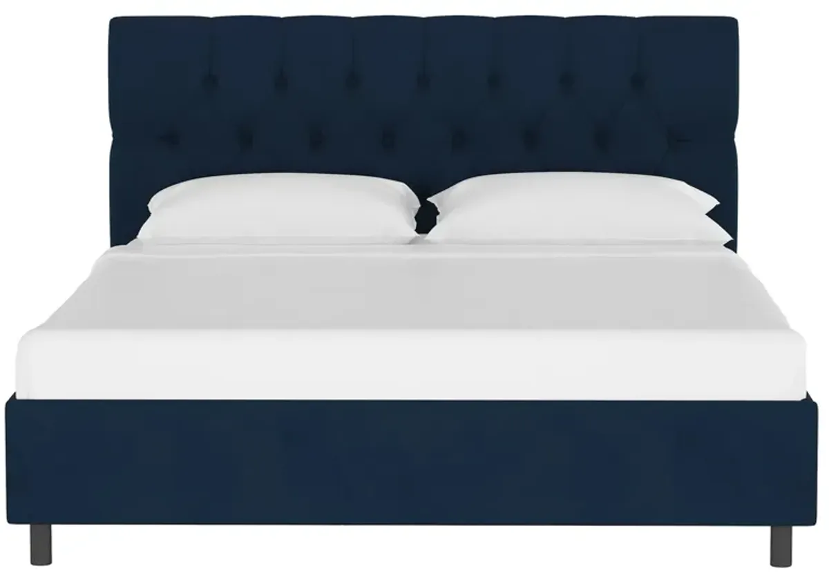 Blanchard Platform Bed in Velvet Ink by Skyline