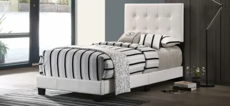 Caldwell Upholstered Panel Bed in White by Glory Furniture