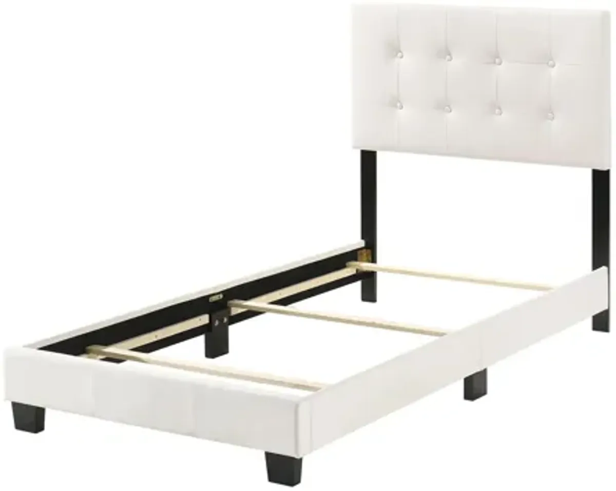 Caldwell Upholstered Panel Bed