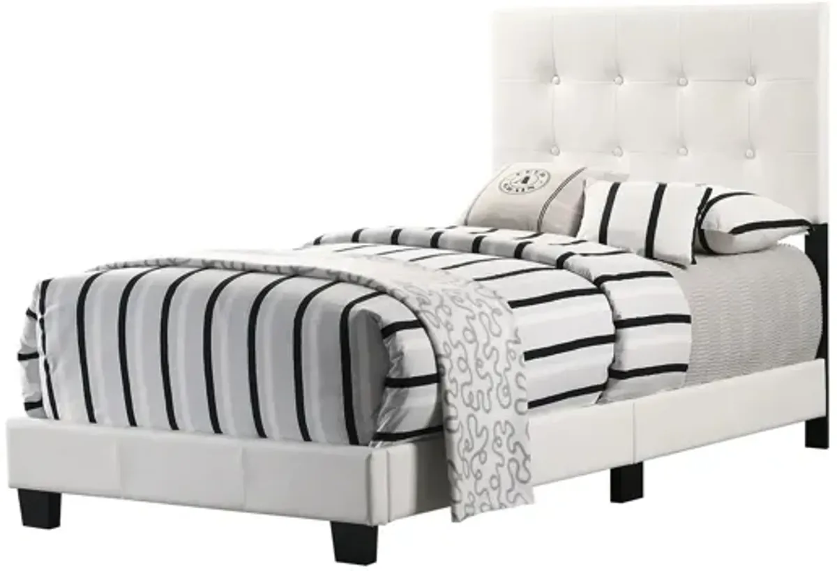 Caldwell Upholstered Panel Bed