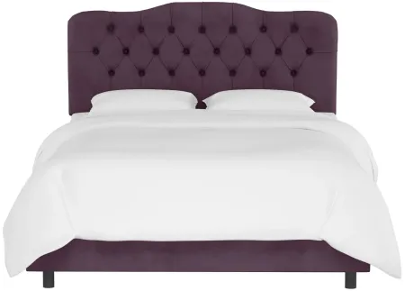 Argona Bed in Velvet Aubergine by Skyline