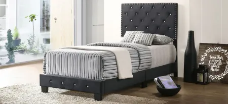 Suffolk Upholstered Panel Bed in Black by Glory Furniture
