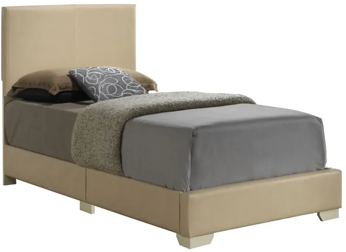 Aaron Upholstered Panel Bed in Beige by Glory Furniture