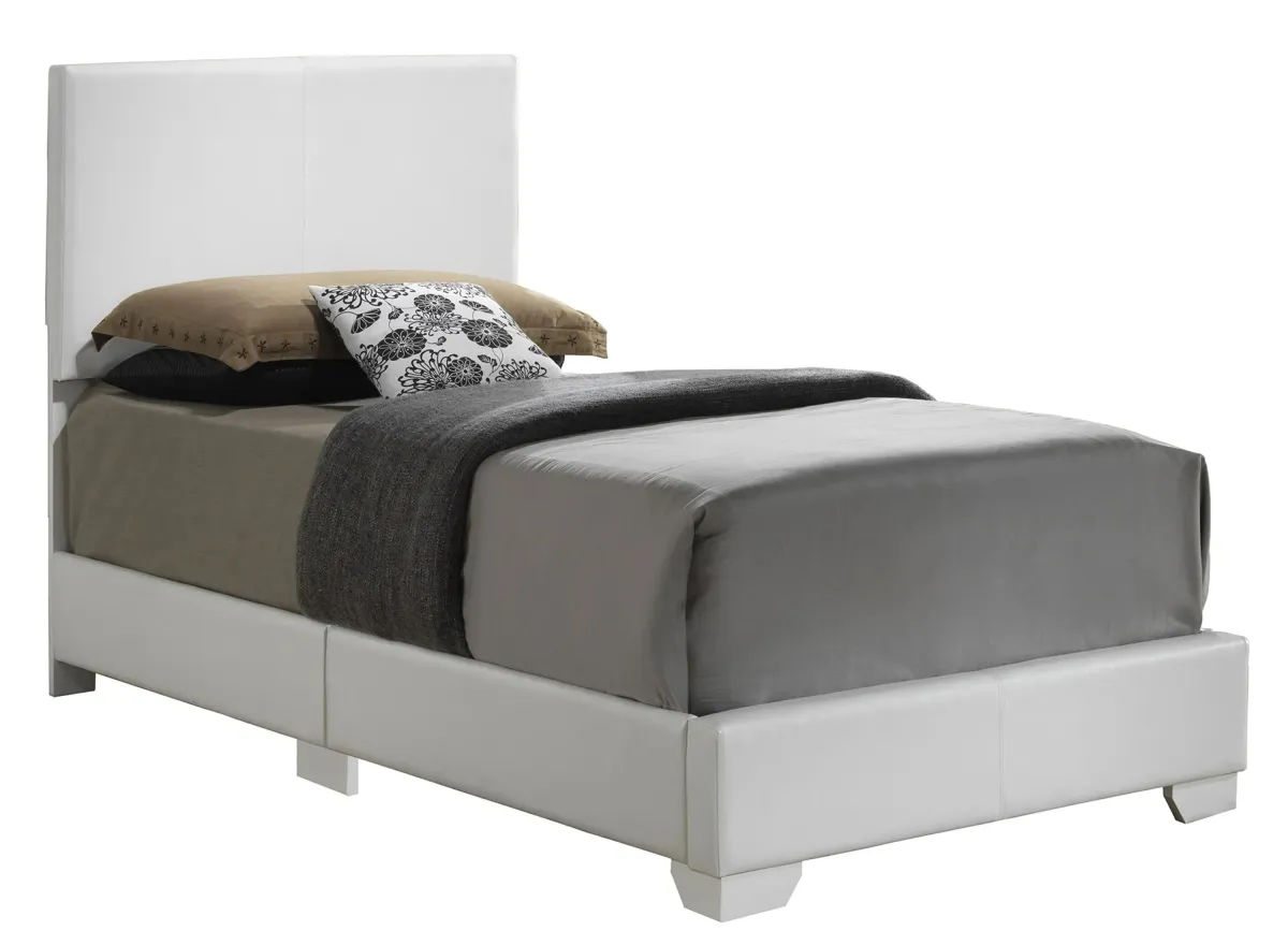 Aaron Upholstered Panel Bed in White by Glory Furniture