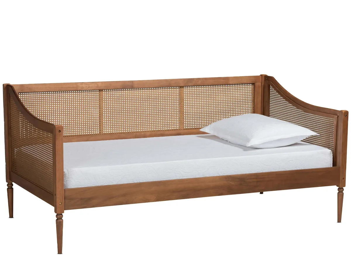 Ogden Daybed in Walnut Brown by Wholesale Interiors