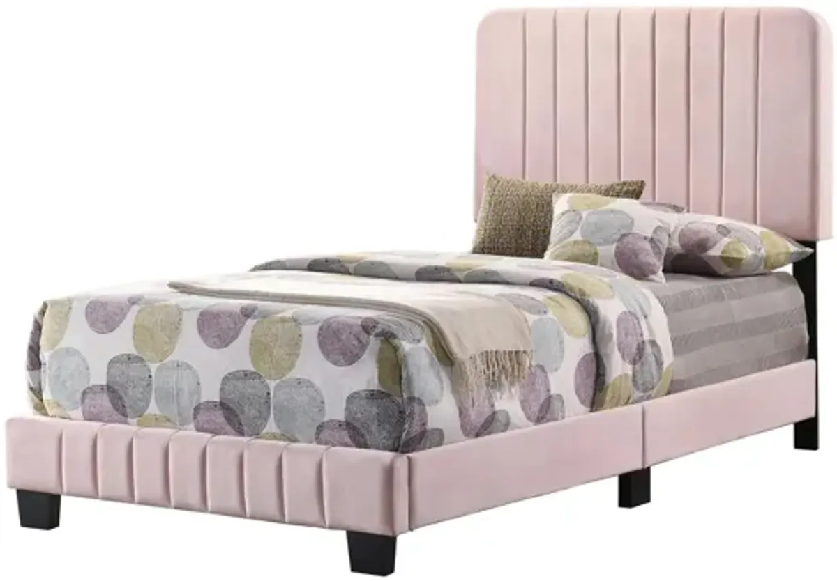 Lodi Upholstered Panel Bed