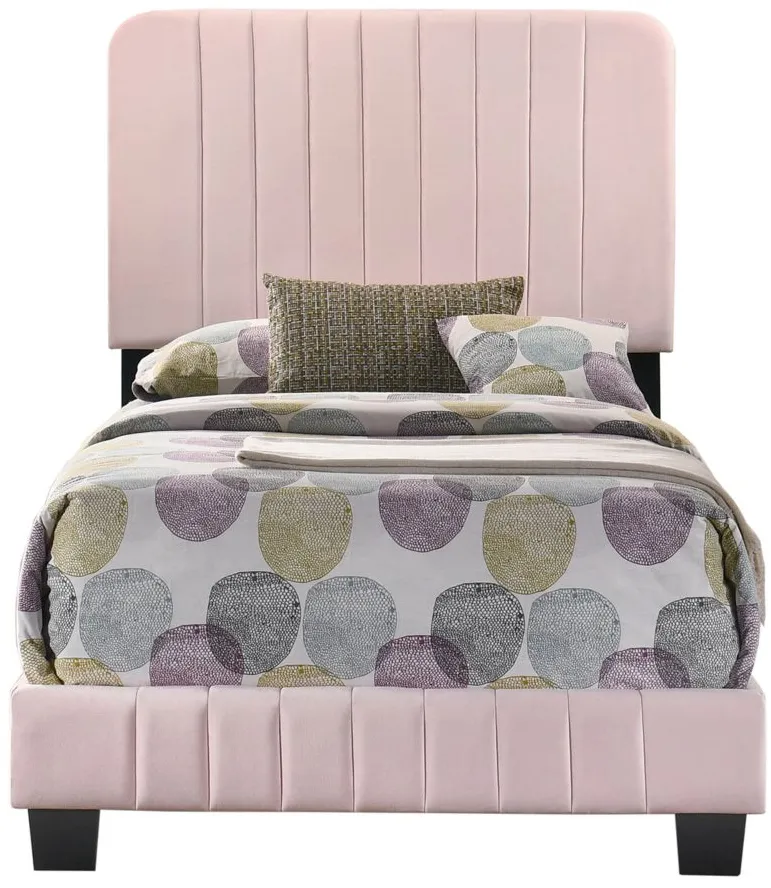 Lodi Upholstered Panel Bed in Pink by Glory Furniture