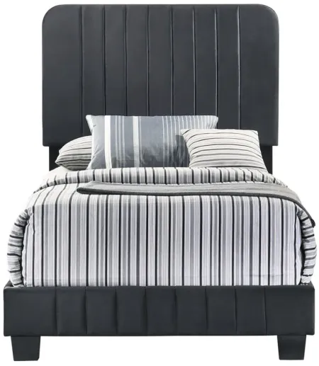 Lodi Upholstered Panel Bed in Black by Glory Furniture