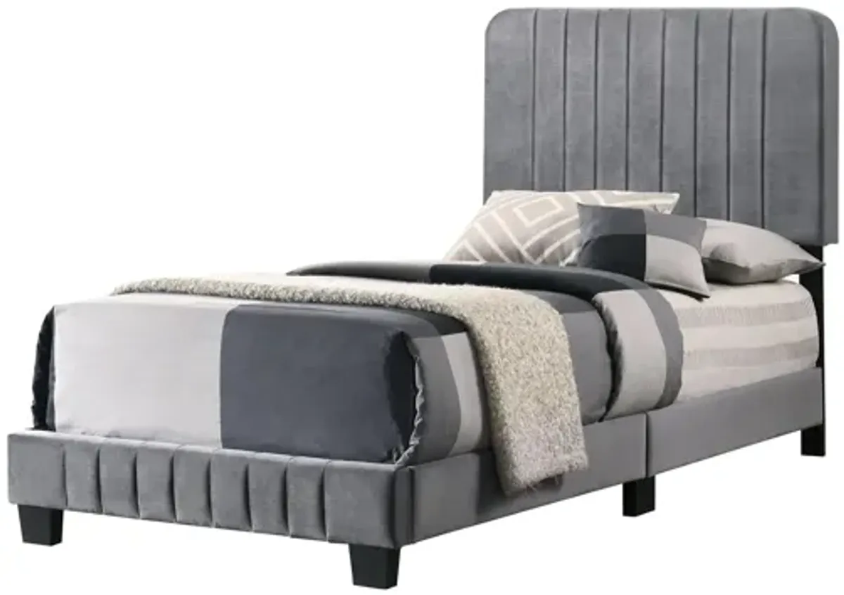 Lodi Upholstered Panel Bed