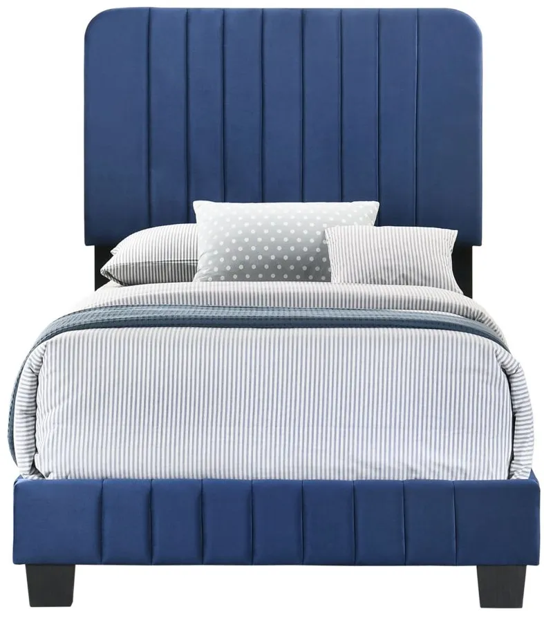 Lodi Upholstered Panel Bed in Navy Blue by Glory Furniture