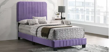 Lodi Upholstered Panel Bed in Purple by Glory Furniture