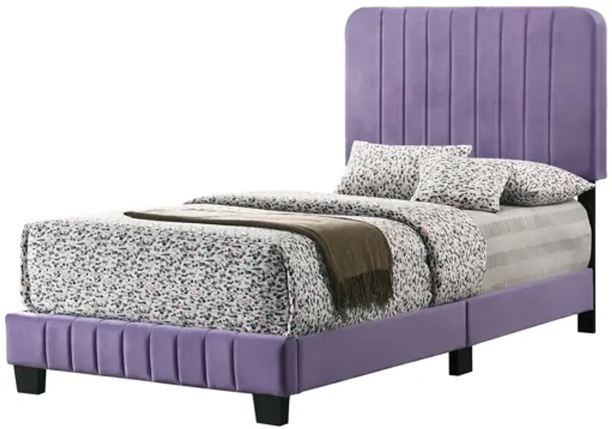 Lodi Upholstered Panel Bed