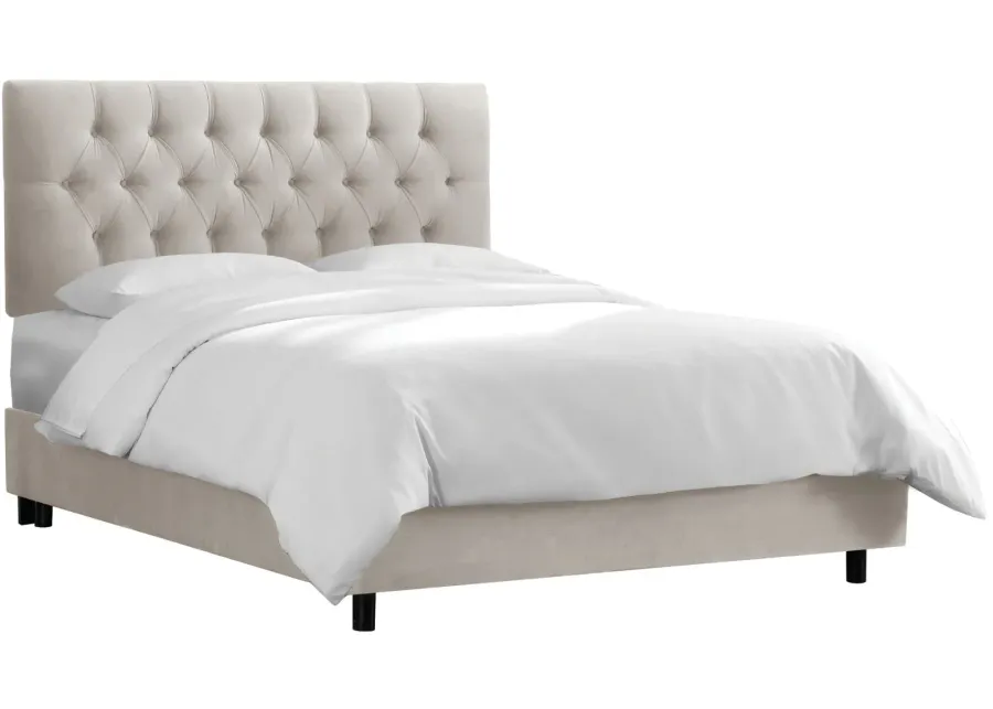 Blanchard Diamond Tufted Bed in Velvet Light Grey by Skyline