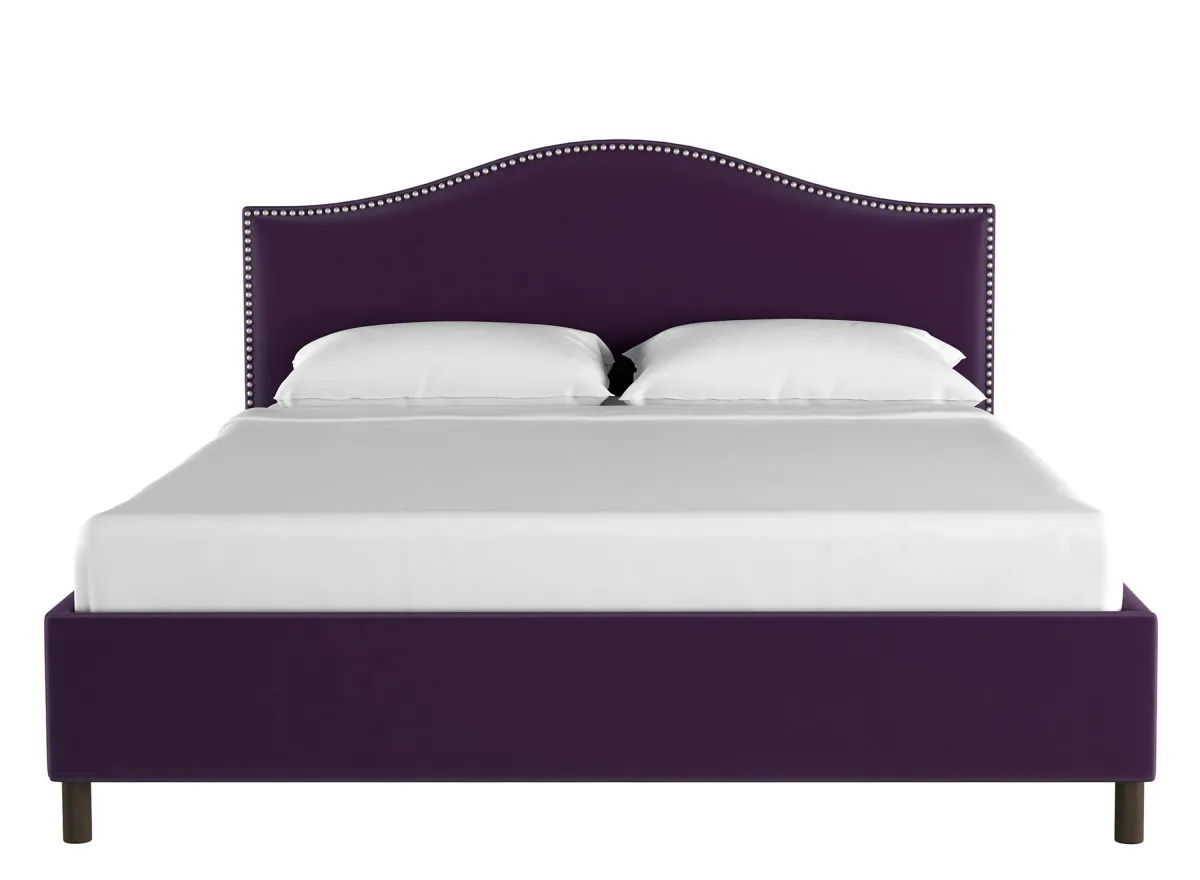 Alexander Platform Bed in Velvet Aubergine by Skyline