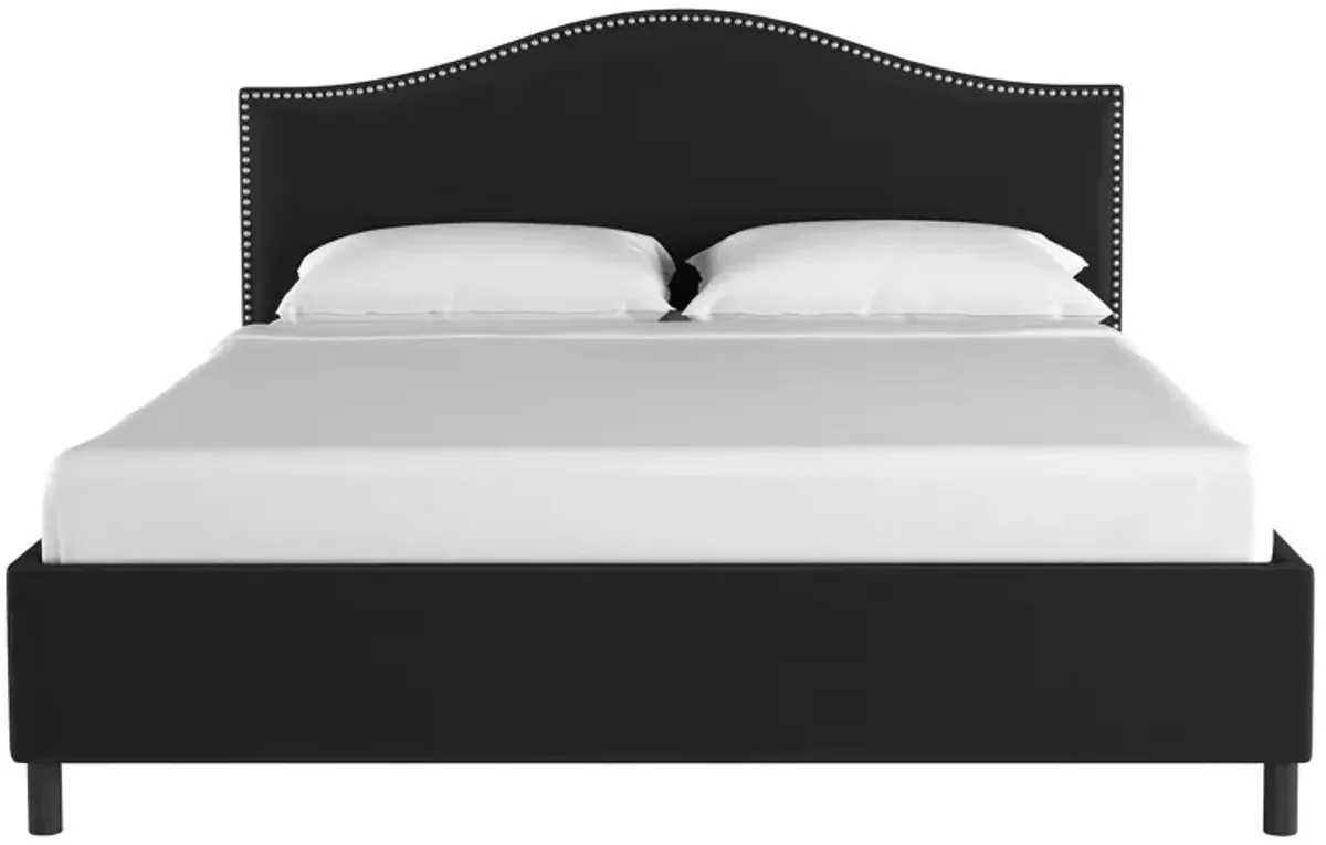 Alexander Platform Bed in Velvet Black by Skyline