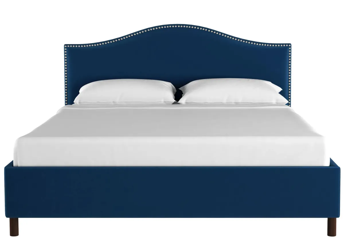 Alexander Platform Bed in Velvet Navy by Skyline