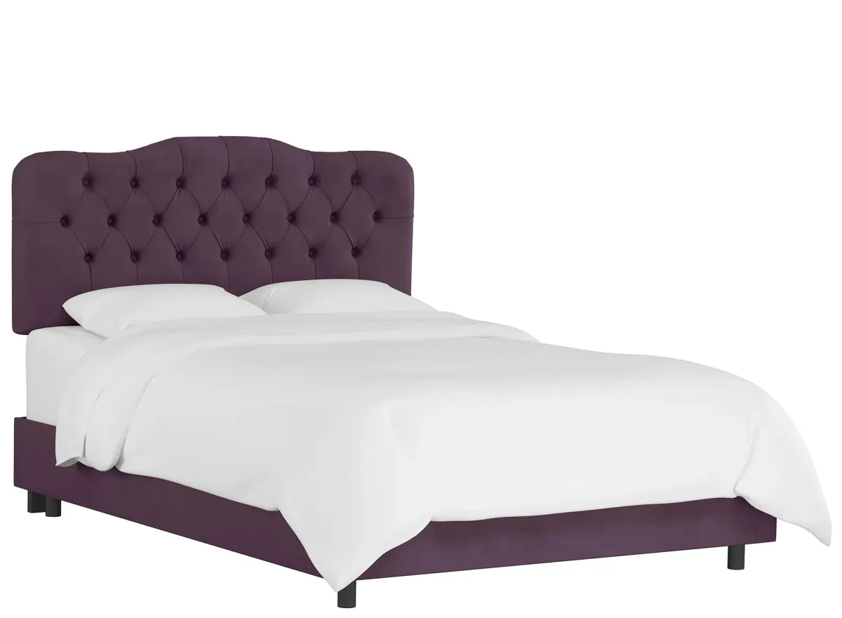 Argona Bed in Velvet Aubergine by Skyline