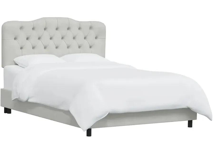 Argona Bed in Velvet Light Gray by Skyline