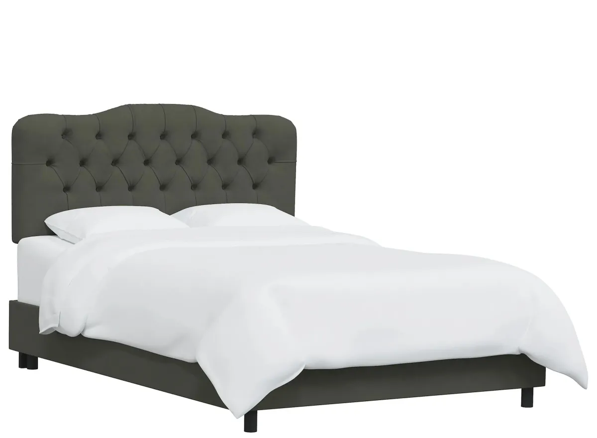 Argona Bed in Velvet Pewter by Skyline