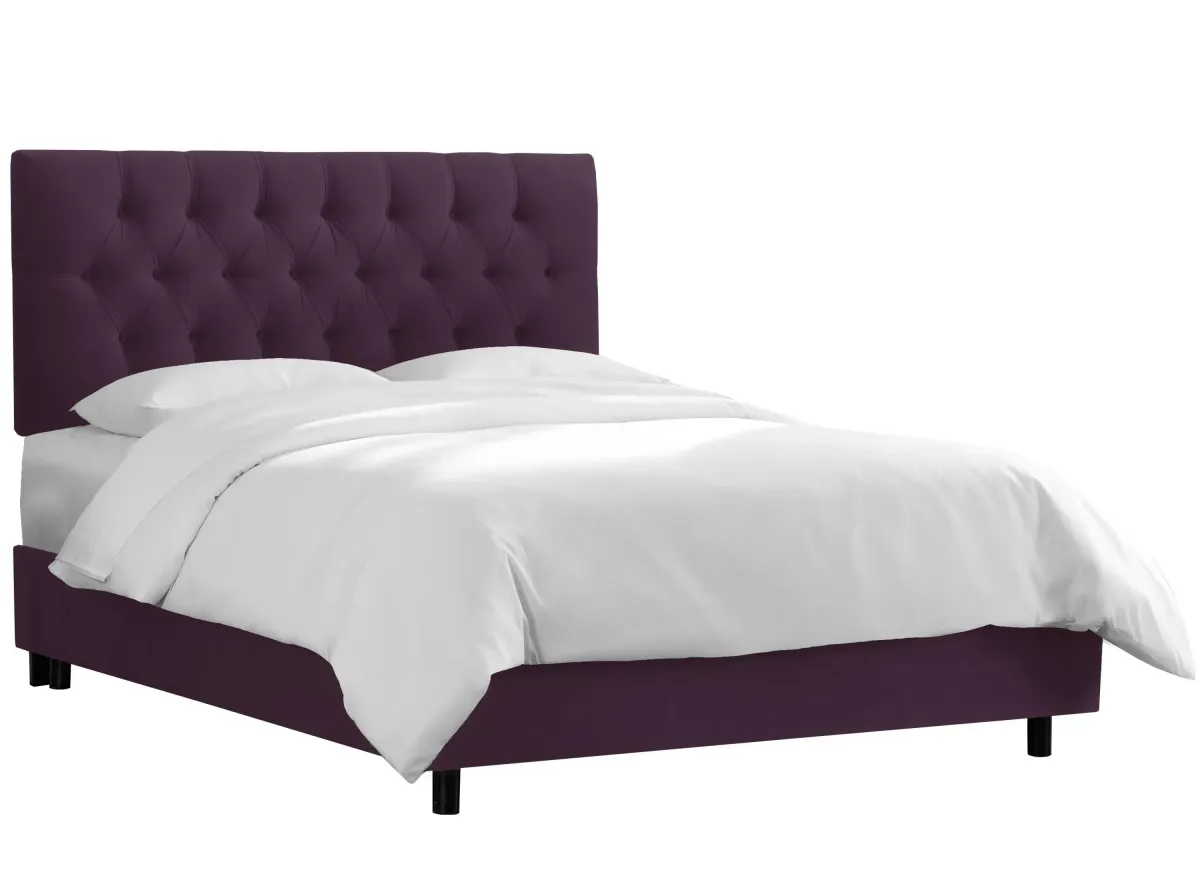 Blanchard Bed in Velvet Aubergine by Skyline