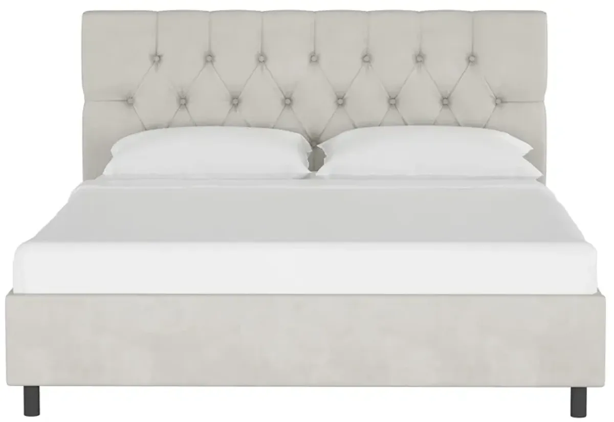 Blanchard Platform Bed in Velvet Light Gray by Skyline