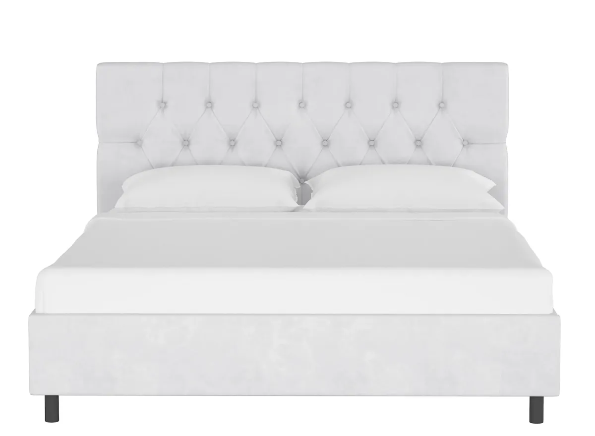 Blanchard Platform Bed in Velvet White by Skyline