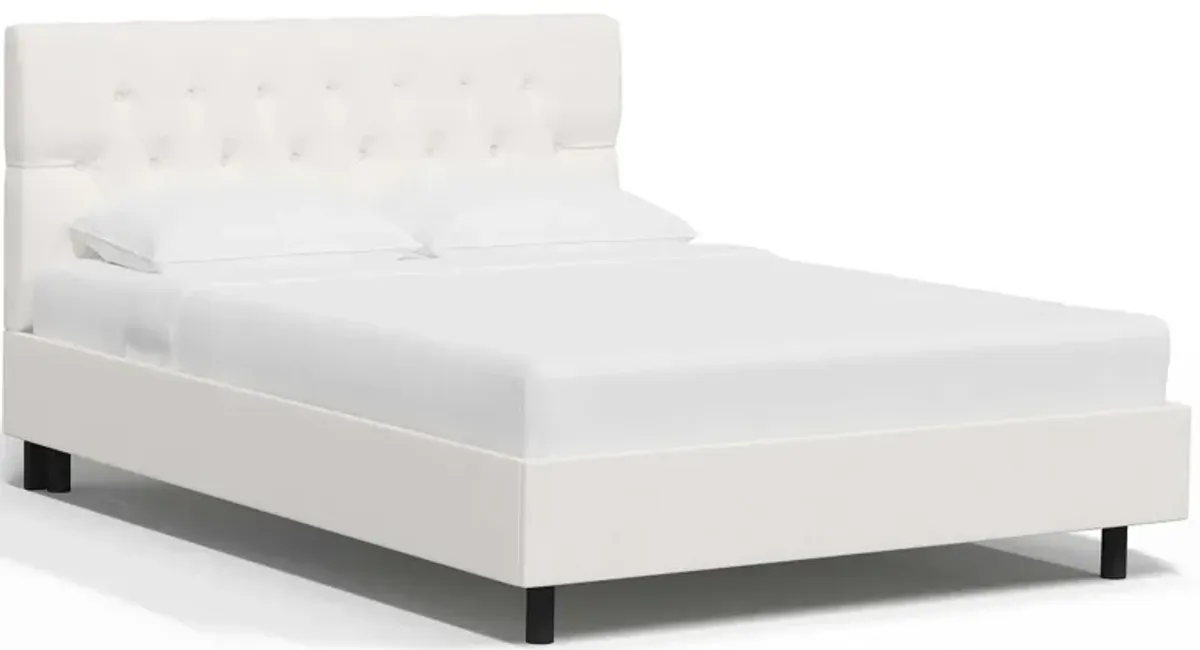 Blanchard Platform Bed in Zuma White by Skyline