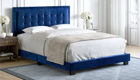 Paterson Velvet Touch Platform Bed in Blue by Boyd Flotation