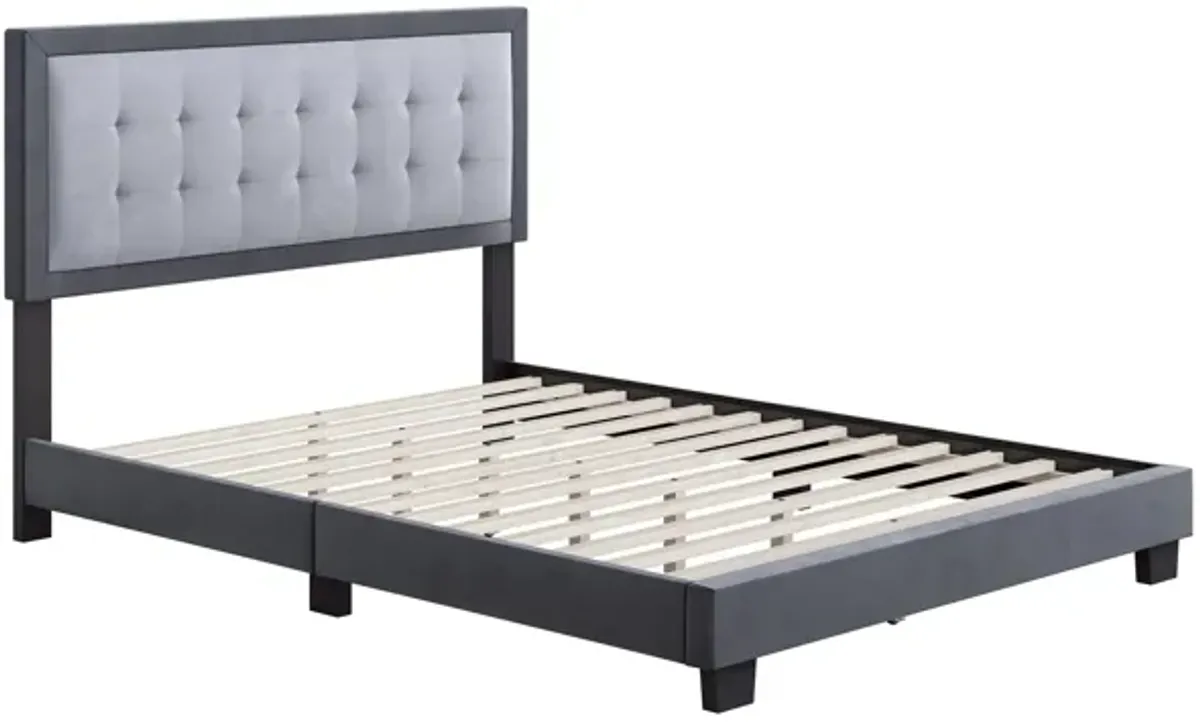 Paterson Velour Velvet Touch Platform Bed