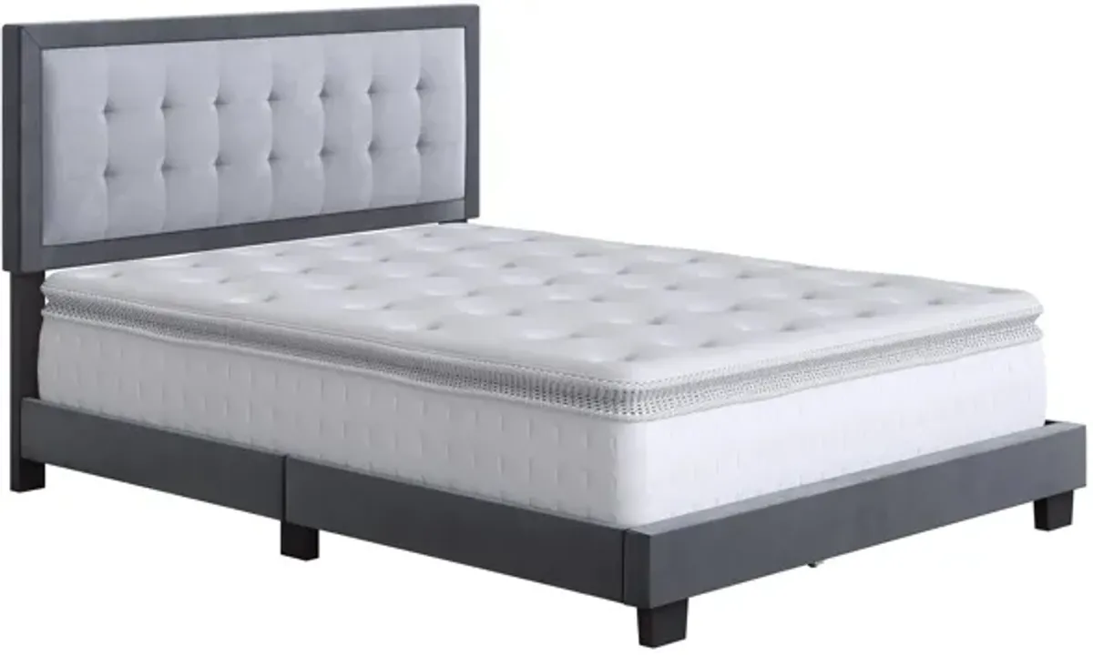 Paterson Velour Velvet Touch Platform Bed