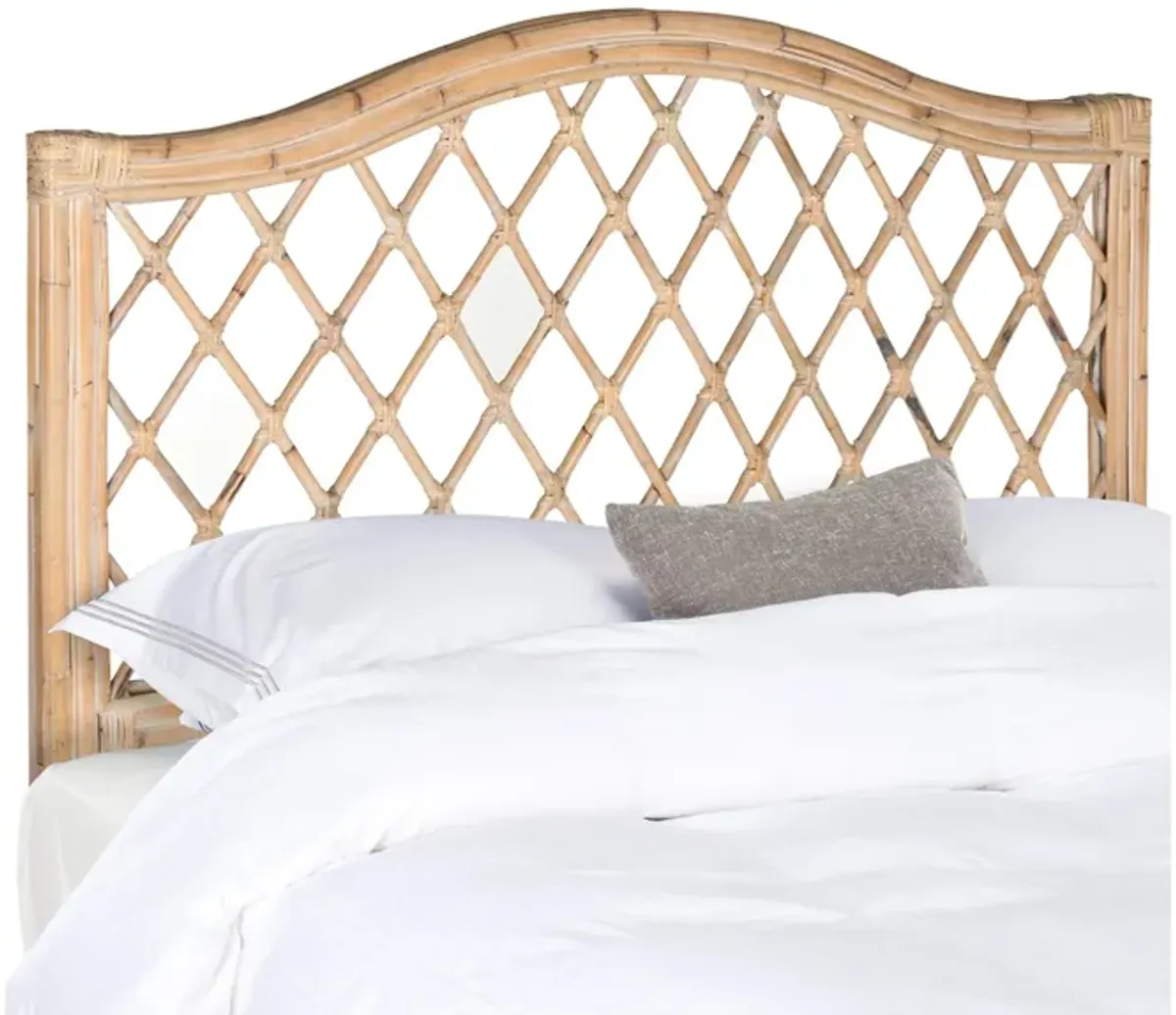 Gabrielle Mounted Headboard in White Washed by Safavieh