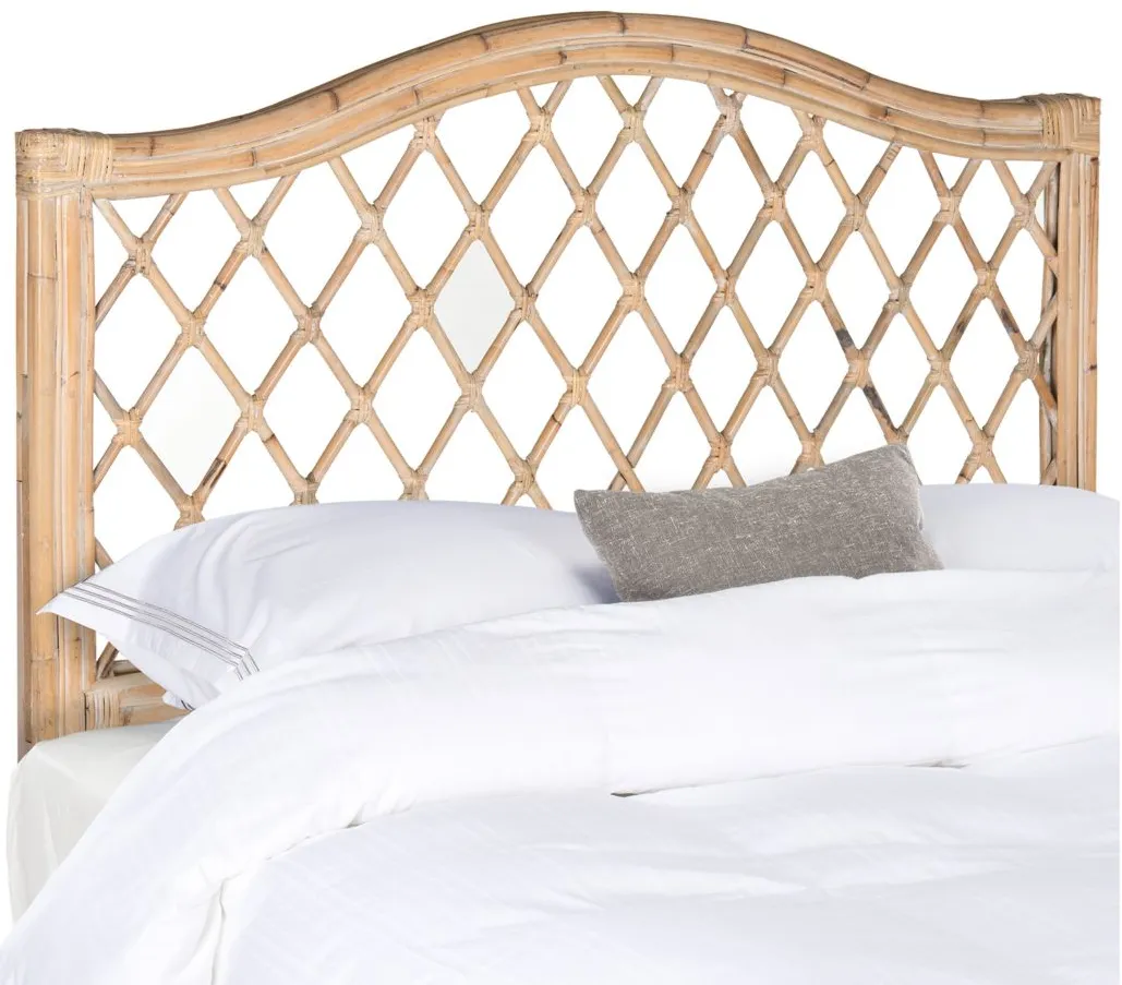 Gabrielle Mounted Headboard in White Washed by Safavieh