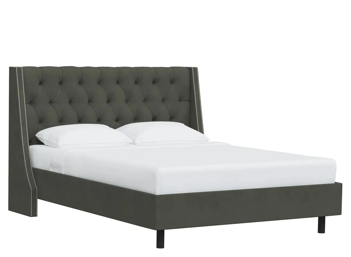 Sheridan Wingback Platform Bed in Velvet Pewter by Skyline