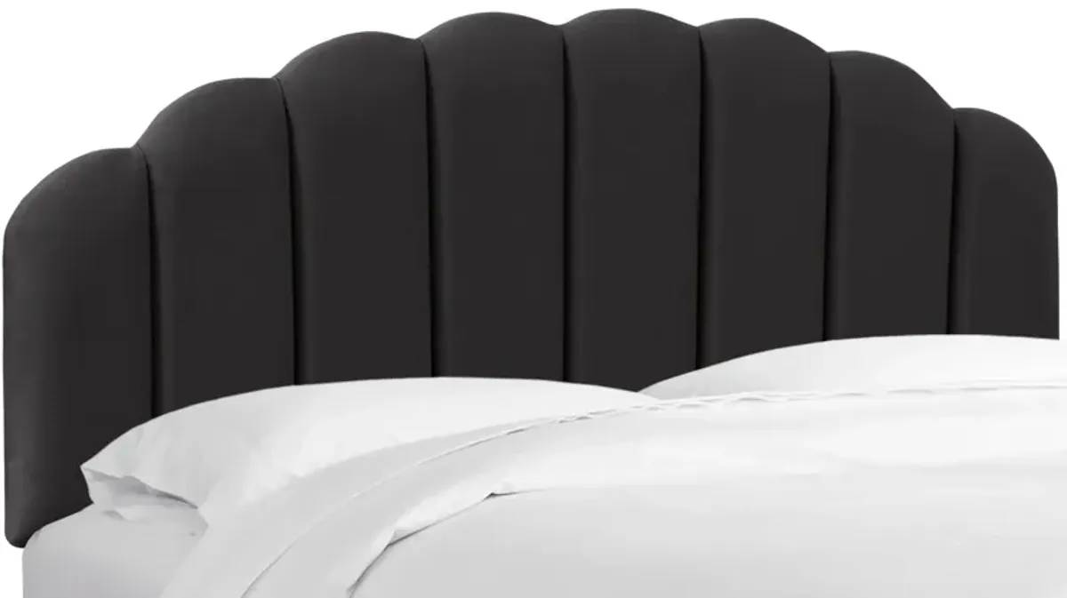 Tanner Headboard in Velvet Black by Skyline