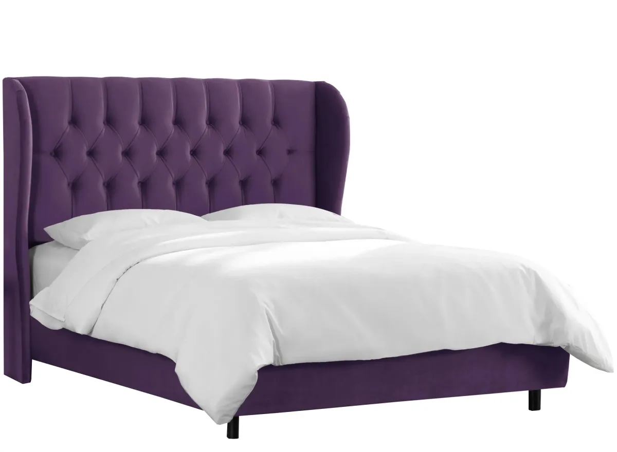 Thayer Wingback Bed in Velvet Aubergine by Skyline