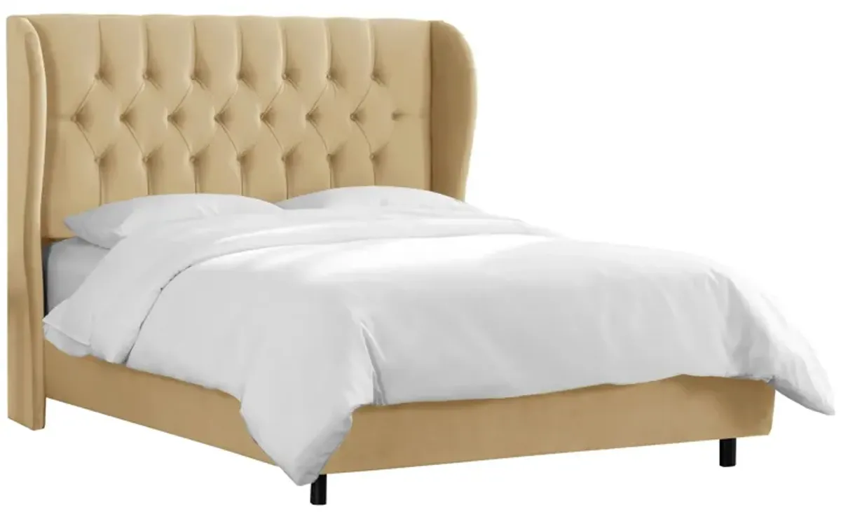 Thayer Wingback Bed in Velvet Buckwheat by Skyline