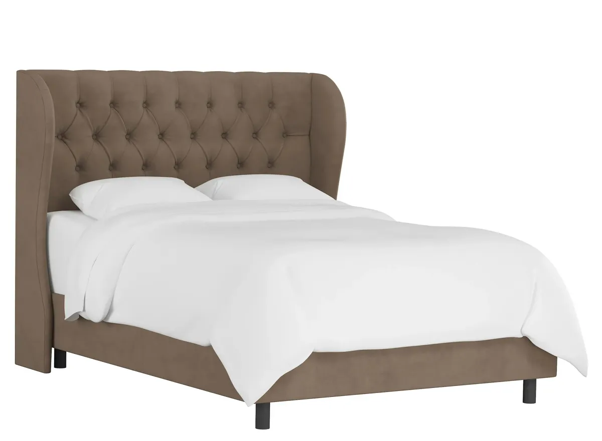 Thayer Wingback Bed in Velvet Cocoa by Skyline