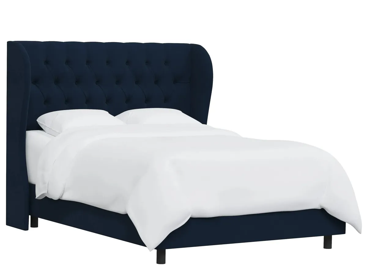 Thayer Wingback Bed in Velvet Navy by Skyline