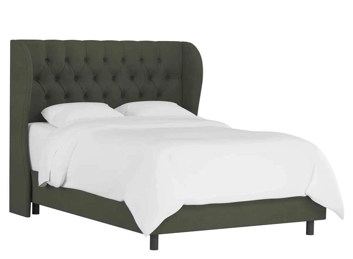 Thayer Wingback Bed in Velvet Pewter by Skyline