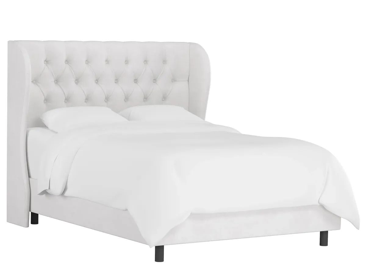 Thayer Wingback Bed in Velvet White by Skyline