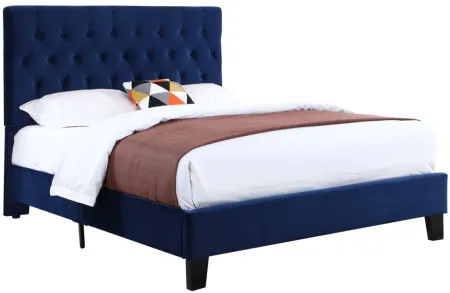 Contreras Upholstered Bed in Navy by Emerald Home Furnishings