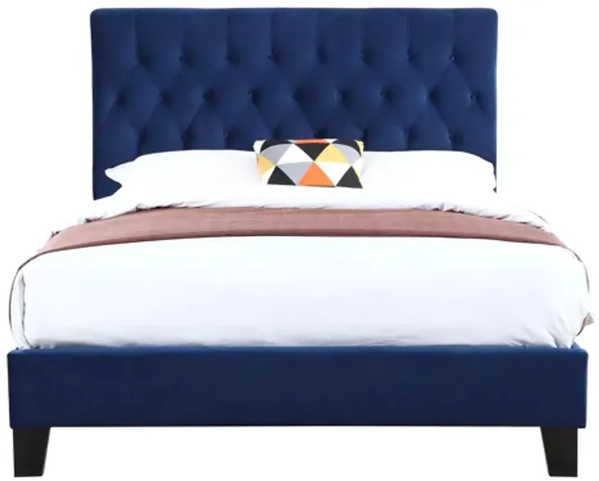 Contreras Upholstered Bed in Navy by Emerald Home Furnishings