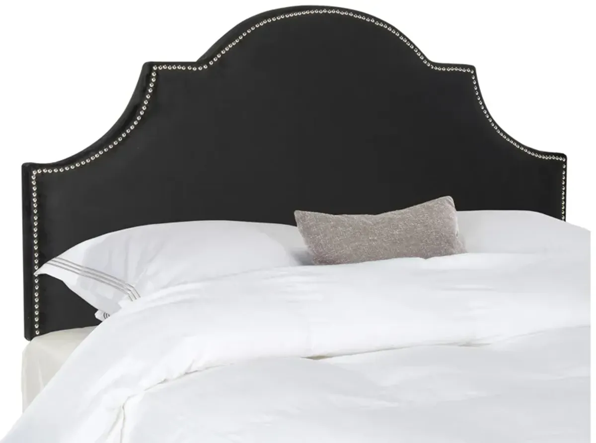 Halmar Upholstered Headboard in Black Velvet by Safavieh